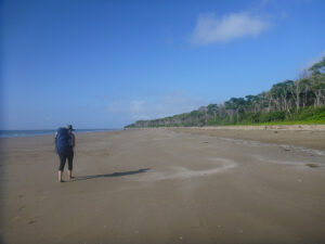 Hinchinbrook Island National Park, Far North Queensland, Australia